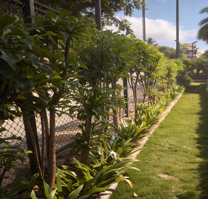 A tree-lined path running through the Fadal layout.
